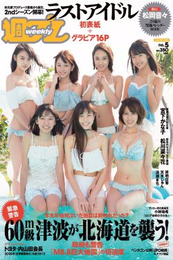 老八灰第一回