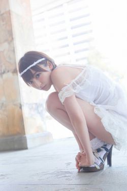 神犬小七
